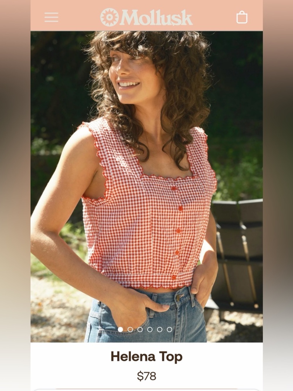 Mollusk California Red Gingham Sleeveless Button Front Crop Top